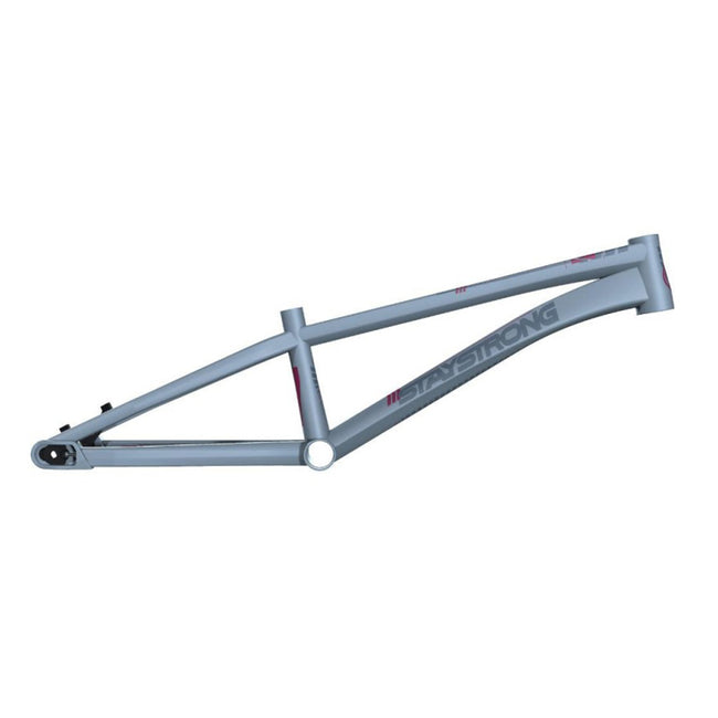 Stay Strong For Life V4 Disc Alloy BMX Race Frame-Grey - 1