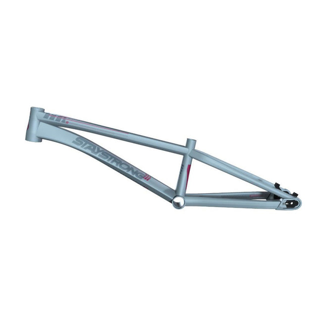 Stay Strong For Life V4 Alloy BMX Race Frame-Grey - 5