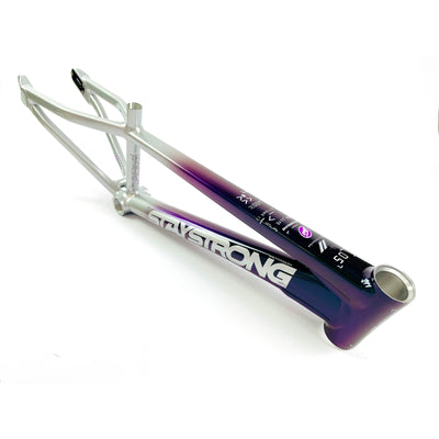 Stay Strong For Life V5 Disc Alloy BMX Race Frame-Chameleon/Silver