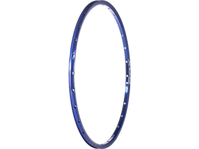 Box Focus 520 Rim-Front-28H-24x1 1/8"