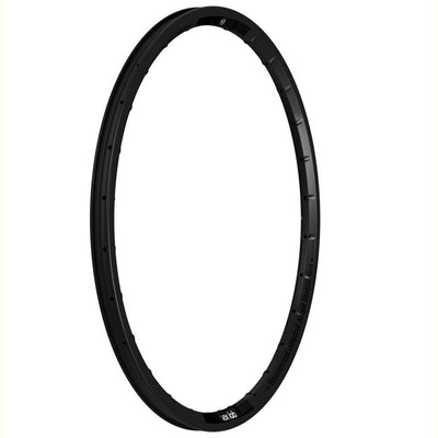 Box Hex Lab Carbon Rear Rim-20x1 1/8"